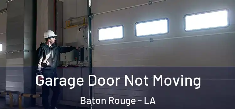  Garage Door Not Moving Baton Rouge - LA