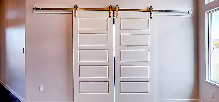 Glass Barn Door with Installation Hardware Kit Baton Rouge