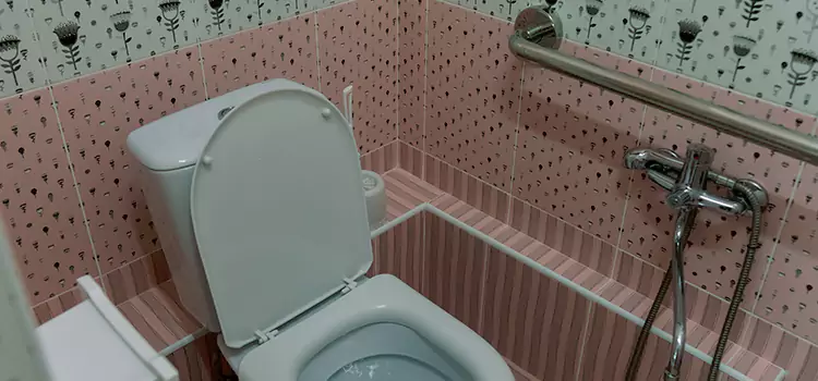 Meeting Diverse Needs With Accessible Restroom Solutions in Baton Rouge, LA